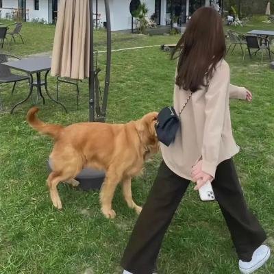 学费